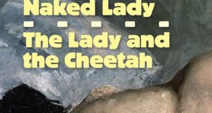 Book review: Death and the Naked Lady and The Lady and the Cheetah_John Flagg