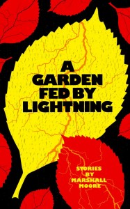 A Garden Fed by Lightning by Marshall Moore